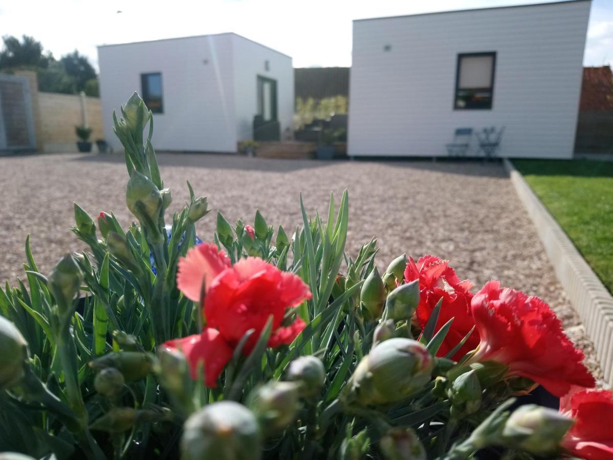 Au Cap Norwoe Bed & Breakfast Saint-Quentin-en-Tourmont Dış mekan fotoğraf